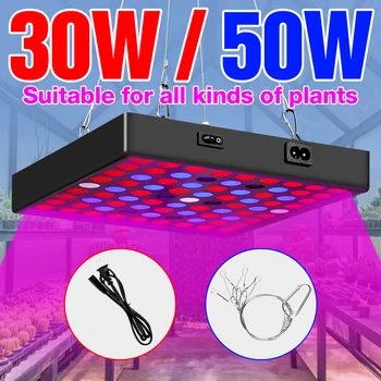 

Plant Growth Lamp EU US UK Plug Phyto Light LED Full Spectrum 220V Grow Light 30W 50W Fitolampy LED Flower Hydroponics Lampada