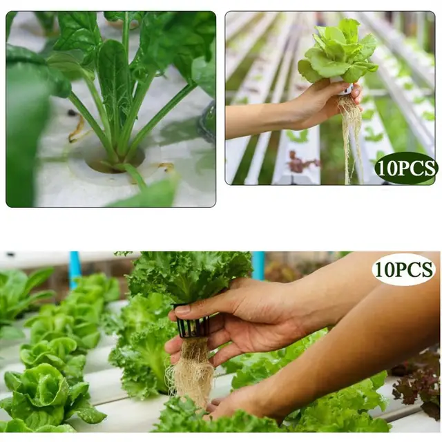 10Db Hidroponikus Réselt Hálószalag Kosár Kerti Növényi Óvodai Edény Szivacs Nélküli Aeroponikus Hidroponika Termesztési Rendszerkészlet - Image 4