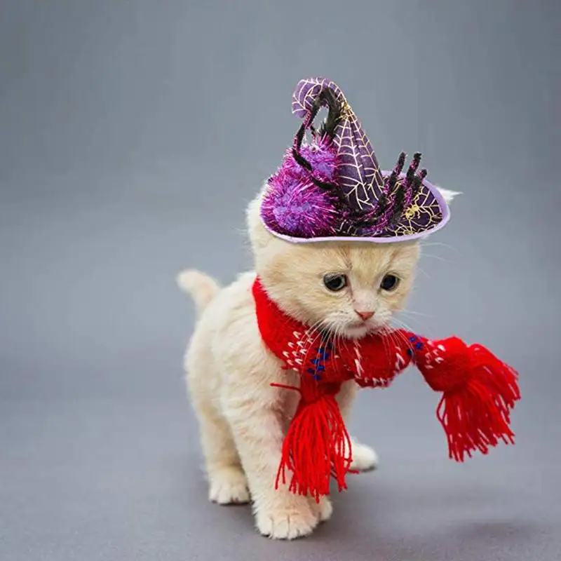 1pc Pet Halloween Hat Spider Pumpkin Witch Hat Cosplay Costumes Velvet Fabric for Halloween Pet Fancy Dress Ball Accessories