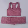 Wine red bra set