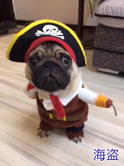pirate