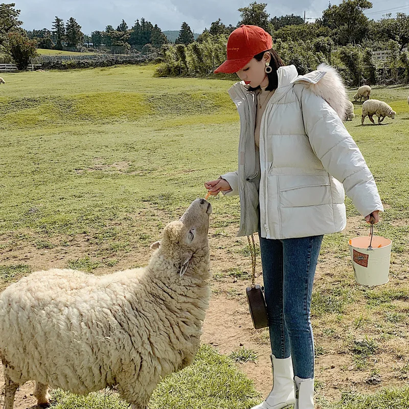 

Cotton-padded Jacket Women's 2019 Autumn And Winter New Style Cotton-padded Clothes Middle Long Coat Korean-style Versatile Loos