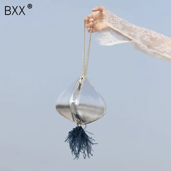 

[BXX] 2020 Spring Summer New Woman Silver Color Luxury Feather Tassel Single Chain High Quality Cowhide Lantern Handbag LM337