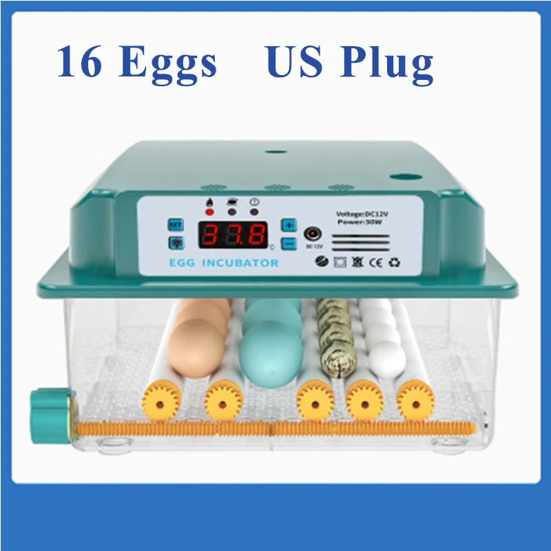 16 eggs US Plug