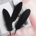 Black 50pcs