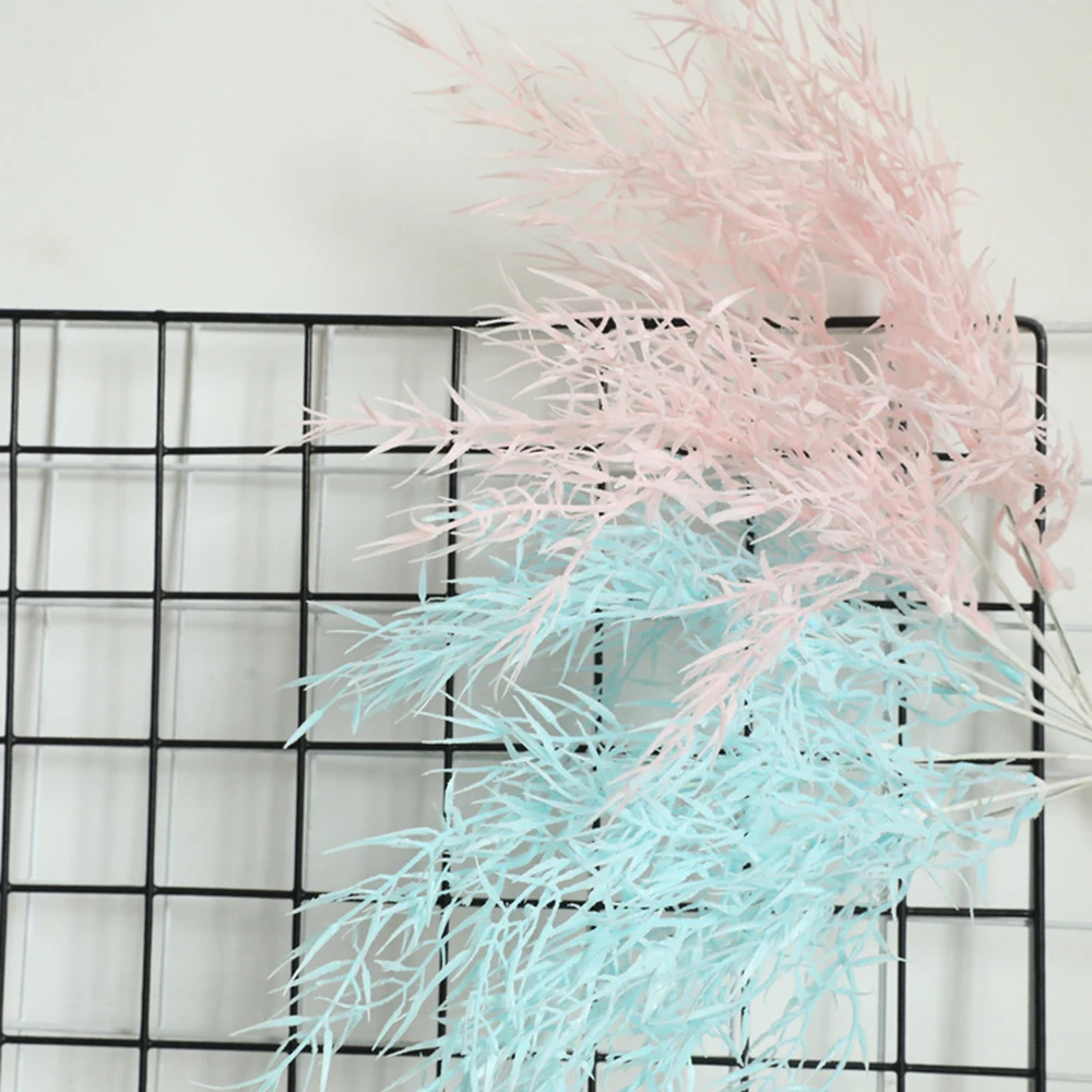 YYPA0072-1-YYPA0072-6-C3