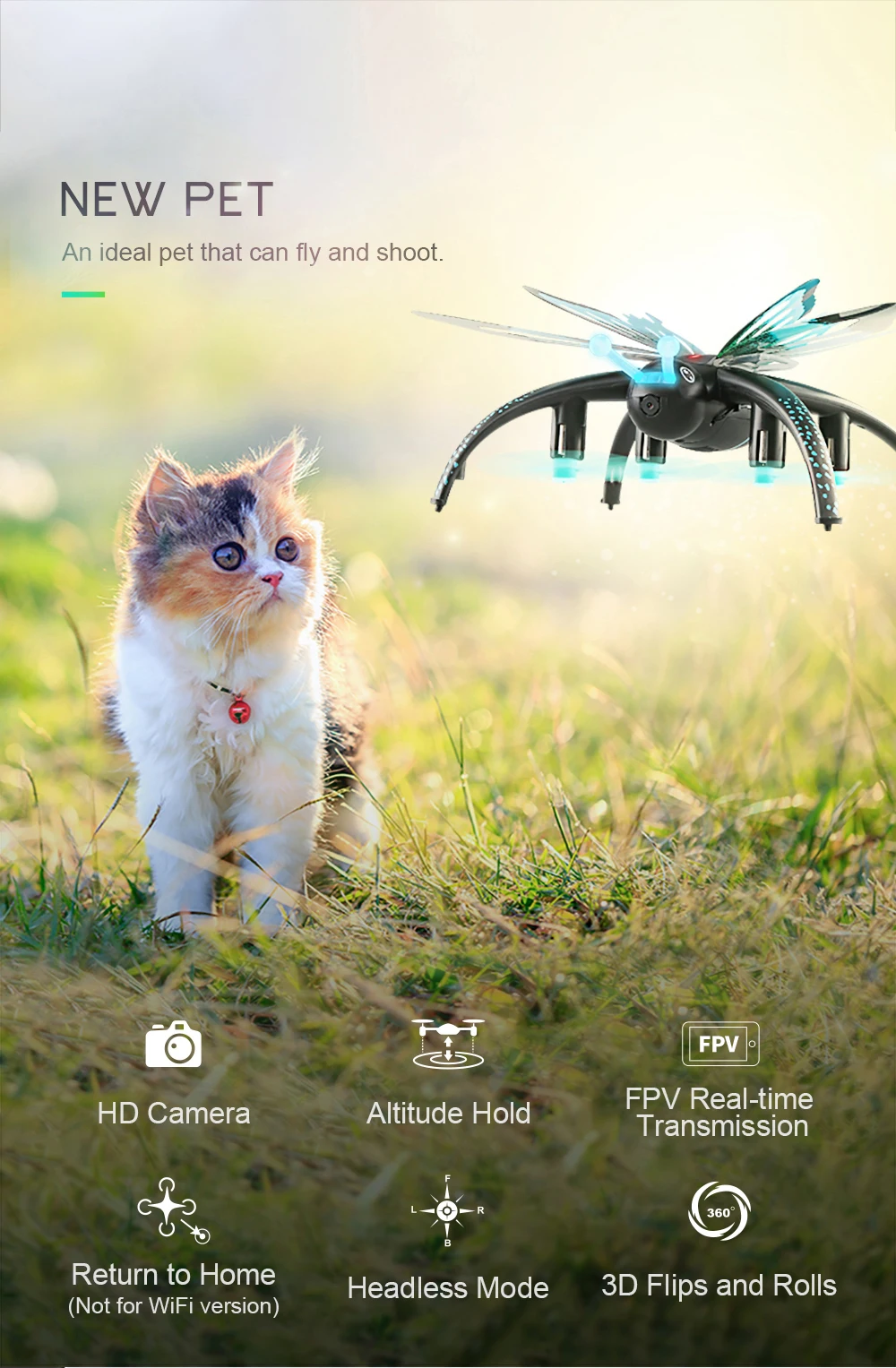 H42-英文详情页1_02