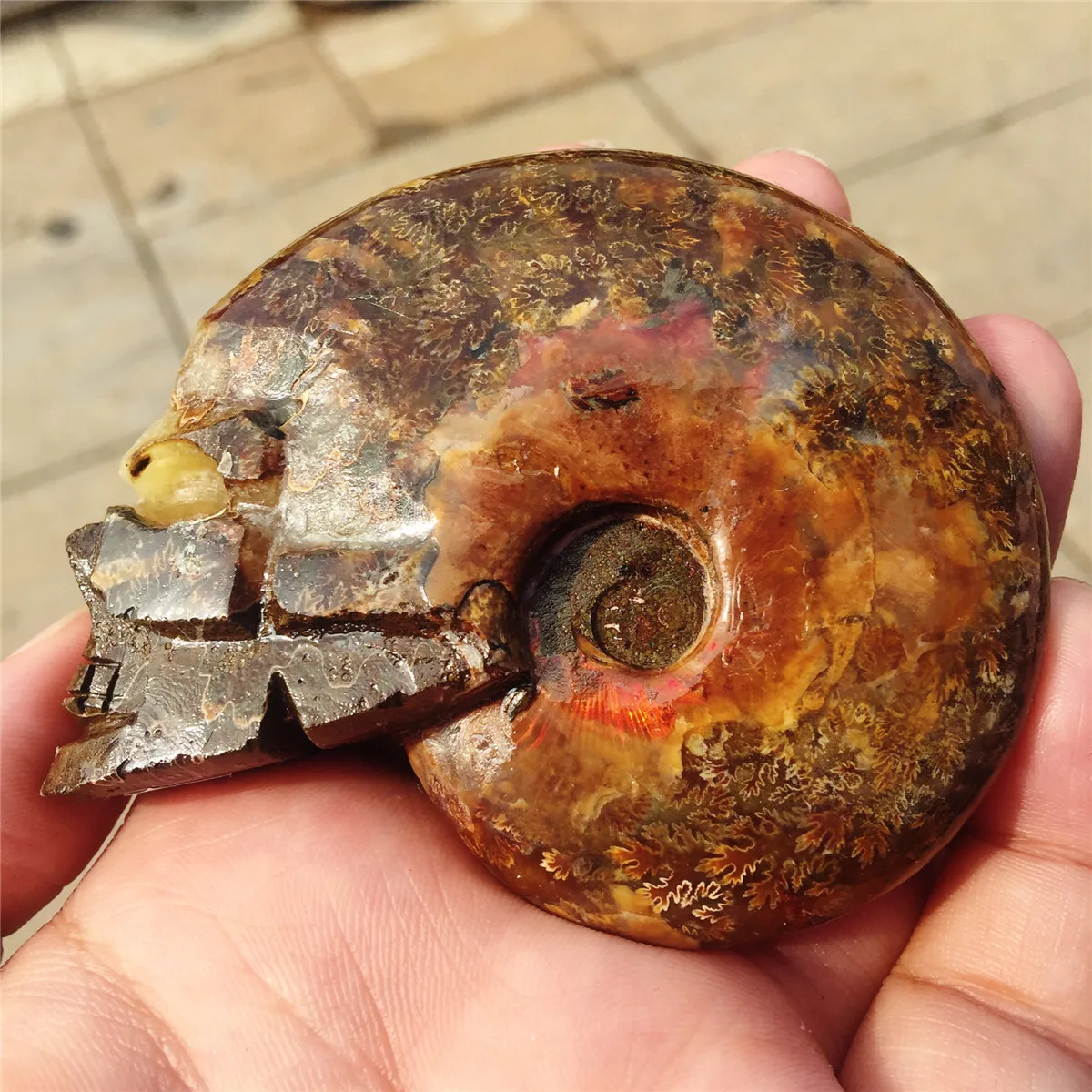Настоящий аммонит fossil резной череп Хрустальный резной череп Улитка shell fossil Рождественский подарок ручной работы