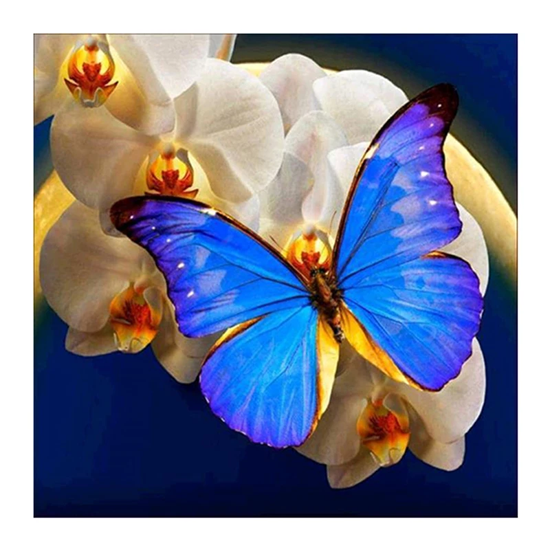 5D DIY частичная дрель круглые стразы Алмазная картина Papillon бабочка Орхидея