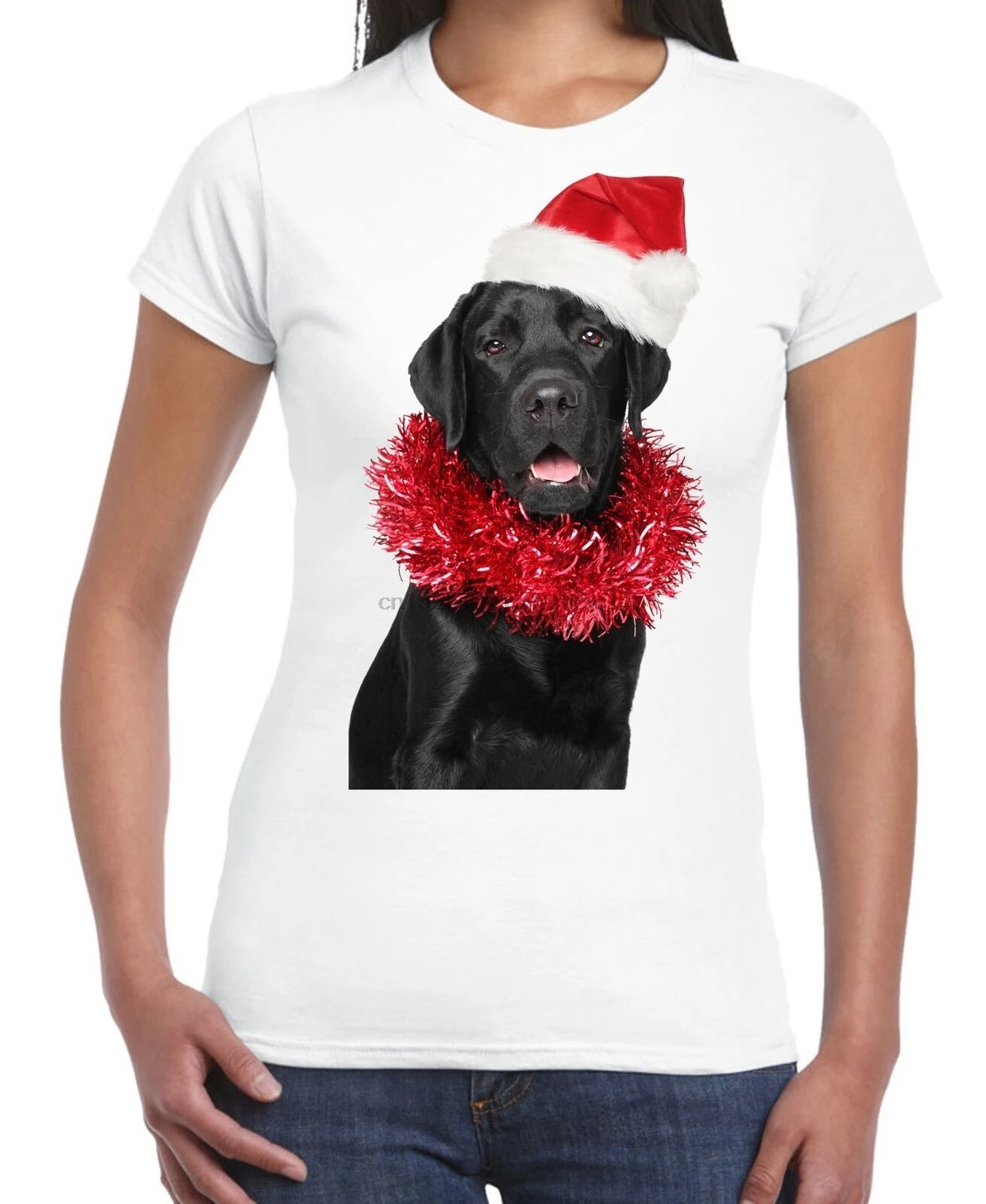 Christmas Black Labrador with Santa Hat 
