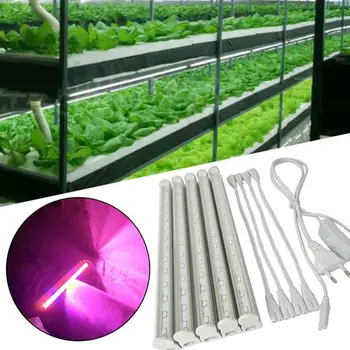 

Garden Hydroponic Greenhouse Lamp LED Strip Bar NEW Indoor Energy Saving Lighting Accessory Purple Light US Plug 5Pcs