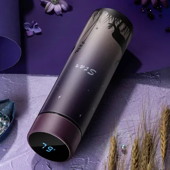 

Thermos Vacuum Flasks 450ml Temperature Display Insulated Cups Hot Water Bottle 304 Stainless Steel Tumbler Tea Termos Milk Mug