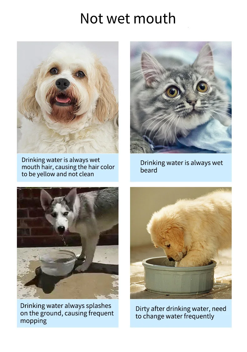 Dog Water Bowl Floating Not Wetting Mouth Dog Water Feeder No Spill dog water bowl dispenter Pet Chihuahua Drink Water Fountain