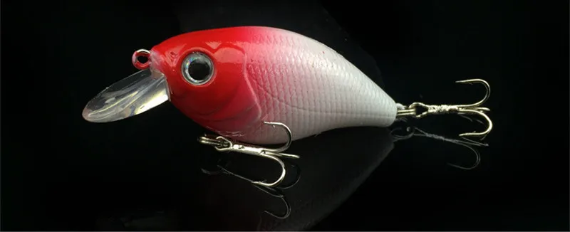 4059702463_1527700101