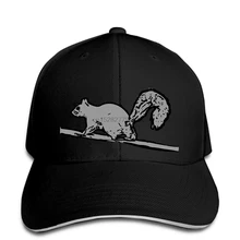 Мужская бейсбольная Кепка белка черная и белая забавная белка мультяшная белка бегущая вверх дерево загрузка Snapback Кепка