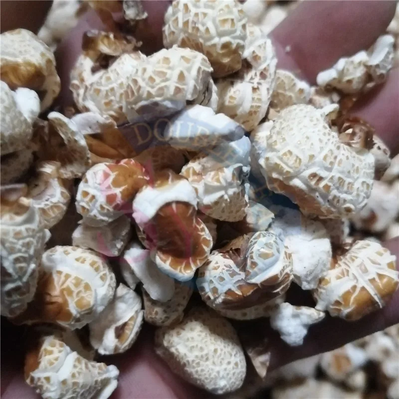 O1CN01j2WwfU1pTNsufqSkI_!!0-rate