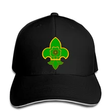 Мужская бейсболка Sashakt Bharat Bjp логотип векторный онлайн Snapback Кепка женская шляпа