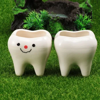 

2pcs Creative Mini Tooth Ceramic Flower Pot Succulents Simulation Tooth Grass Holder Household Bedroom Living Room Decoration (R