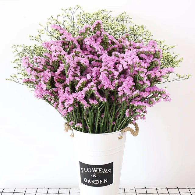 잊지마의 아름다움을 영원히 간직하는 말린 자연 Gypsophila 꽃다발