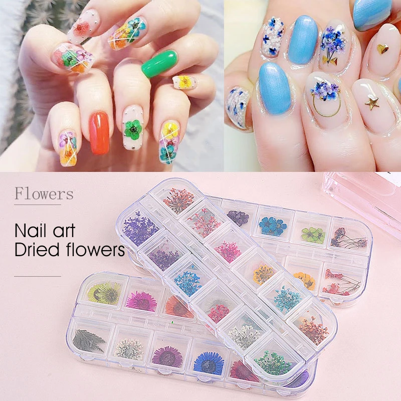

12 Pcs Dried Flowers Nail Art Decoration DIY Natural Pressed Flora Gel Manicure Stickers Hydrangea Leaf 3D Decor Nail Tips