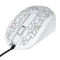 Computer Peripherals