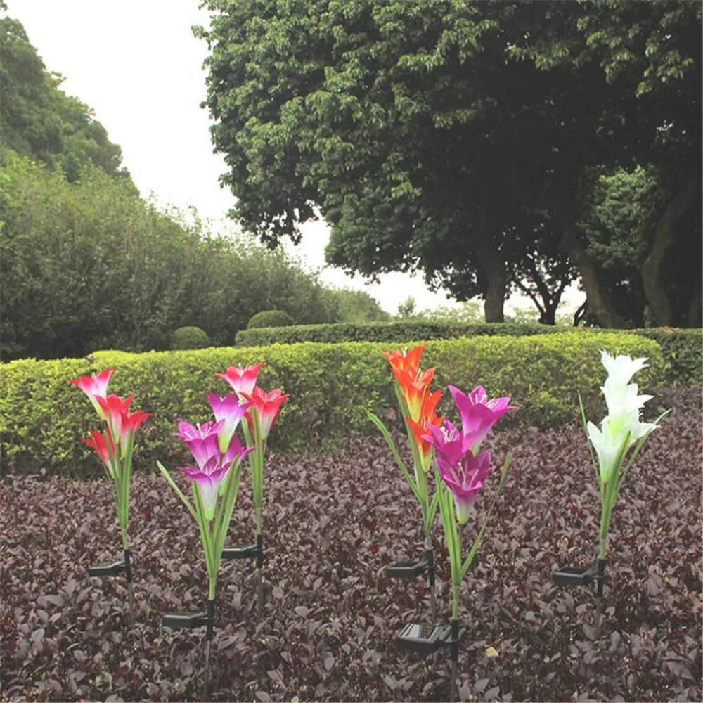 QQ图片20190927113408_副本