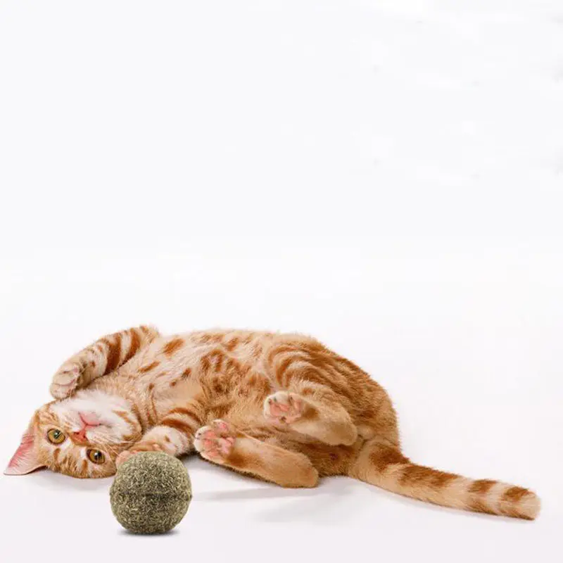 Мода новинка природа Pet мяч из кошачьей мяты играть игрушки с покрытием игрушки для кошек Catnip