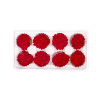 

1set Carnation Romatic Carnation Decoration Eternal Flower Dried Flower for Mothers Day Valentines Day
