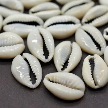 

20Pcs White DIY Sea Shell Cowrie Cowry Charm Beads Beach Jewelry Accessories for Women Sea Shells Earrings Bracelet Necklace
