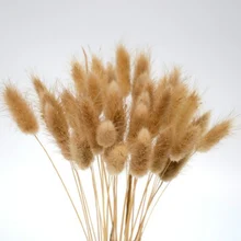 20 стебель высушенный цветок Заячий хвост живое растение Цветочный Кролик трава букет, домашнее украшение аксессуары реквизит для фотосъемки Флорес