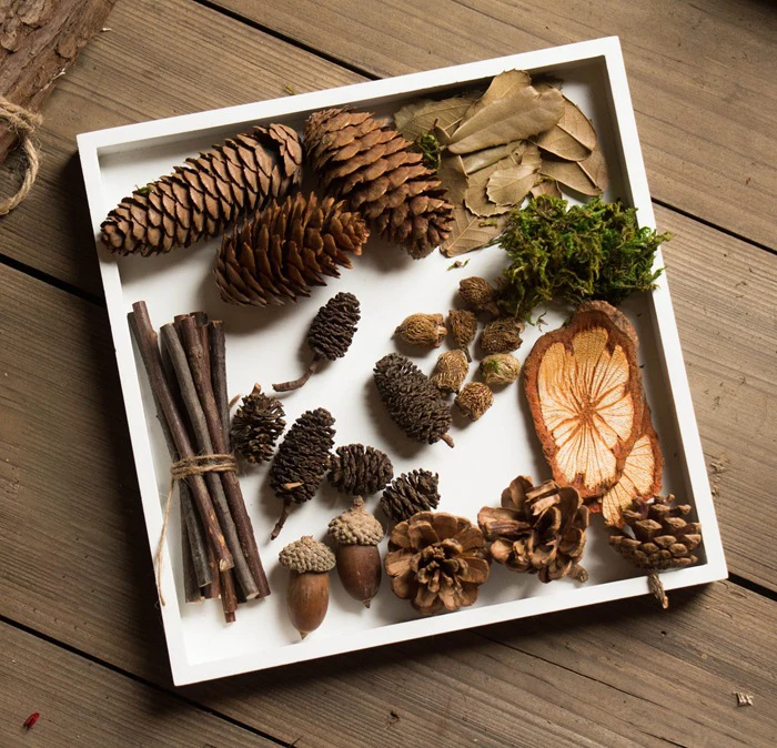 Vintage Photo Props Female Hand-Made DIY Material Package Natural Micro-Landscape Twigs Acorns Dried Flowers QW96 (4)