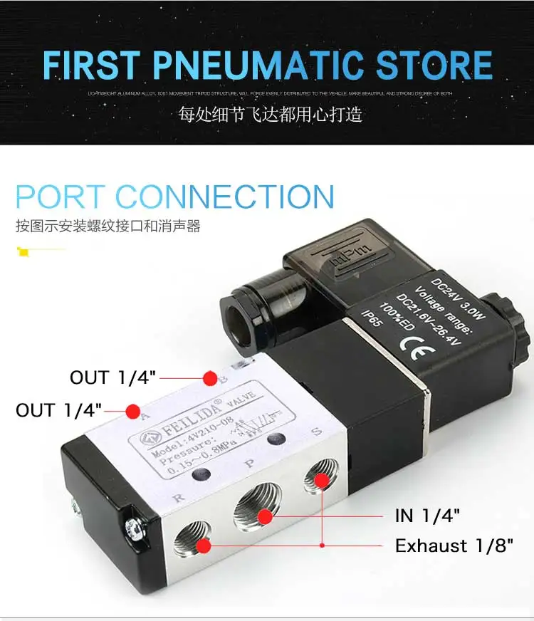 任侃侃小泰迪_09