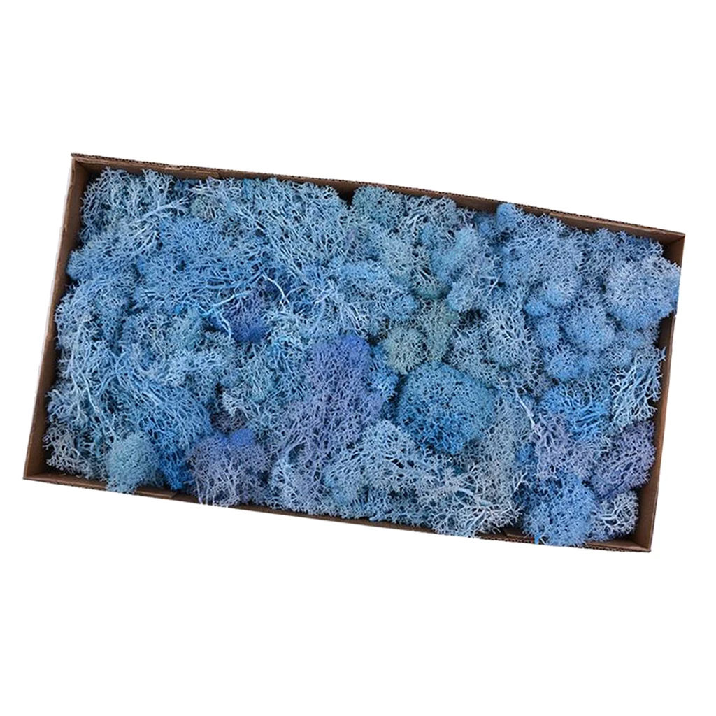 Natural Norwegian Reindeer Moss Preserved Dried Crafts Flower for Flowers Grass Plants Home Garden Garland Wedding Party