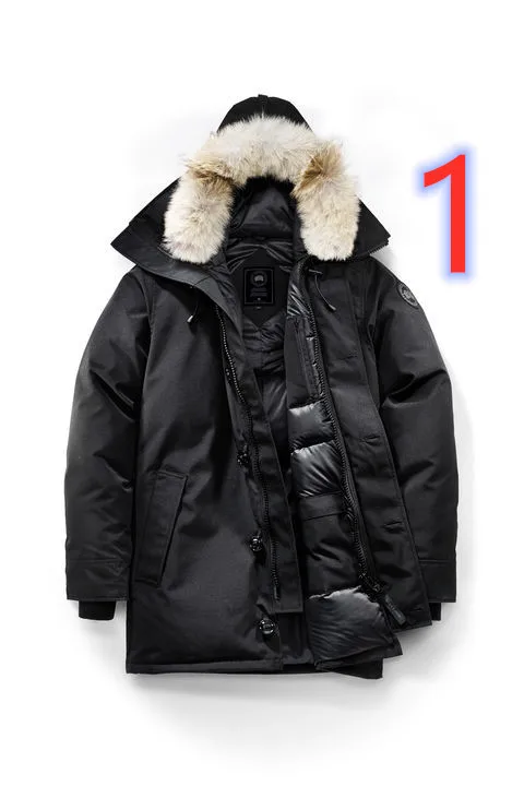 

2019 new down jacket
