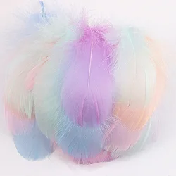 100pcs Small Goose Feathers for Crafts and Decorations (Warm color)