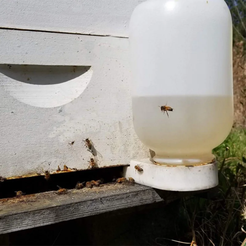 Кормушка для пчел водонагреватель фонтаны круглый контроль сахара ульи Кормление пчелы гнездо дверь Питьевая Пчеловодство поставки