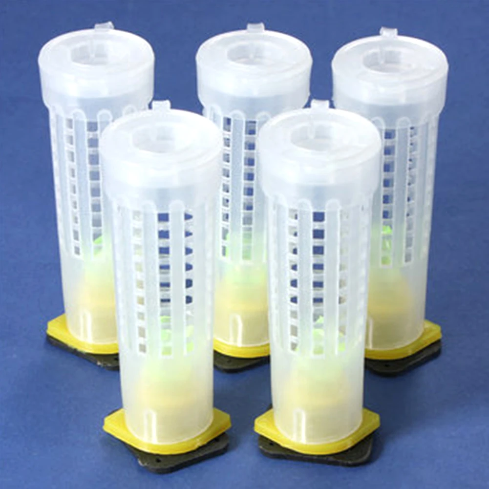 Пчеловодство Rearing Cupkit queen Bee волосы роликовые клетки W/стакан для телефона держатель и сотовые приспособления пчеловоды оборудование