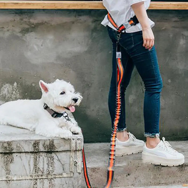 2021 Adjustable Reflective Leash Traction Rope Pet Dog Running Belt Elastic Hands Freely Jogging Pull Dog Collar D-ring Leashes