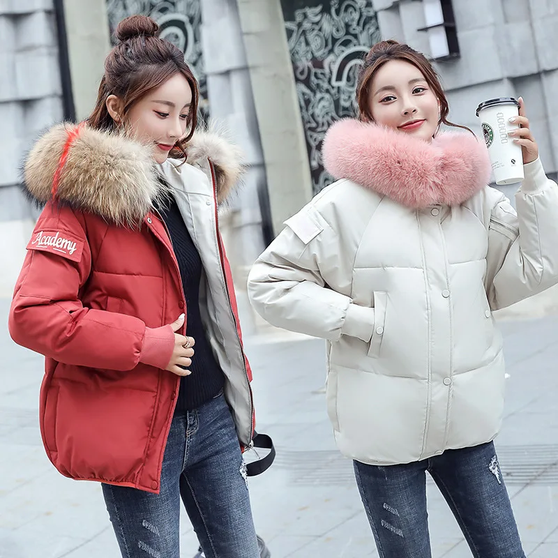 

Winter New Style Short Cotton-padded Clothes Student down Jacket Cotton-padded Clothes Korean-style Loose-Fit Cotton-padded Jack