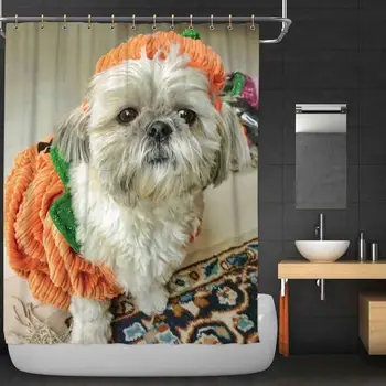 

Shih Tzu in a Halloween Outfit Shower Curtain,102994 Bathroom Decor Set with Hooks,72''W x 72''H