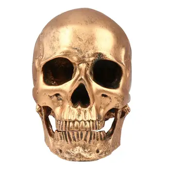 

Halloween Skull Realistic Looking Skull Human Skeleton Skull Resin Model