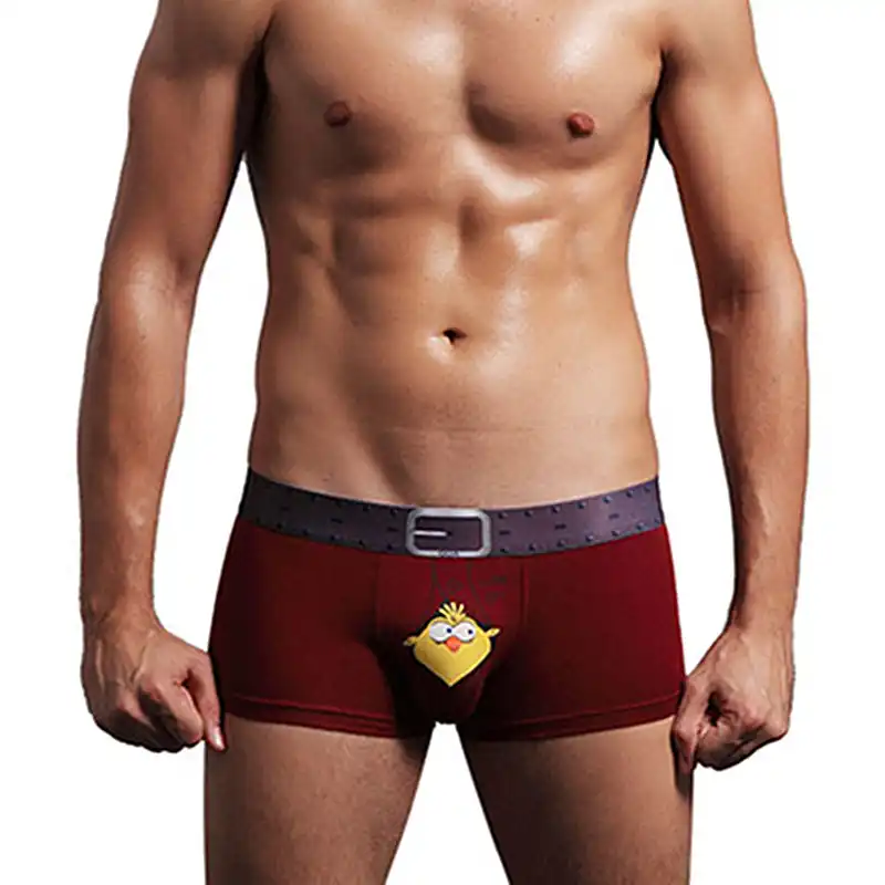 Merk Bamboe Ondergoed Sexy Mannen Homo Beer Vogels Cartoon Penis Grappig Boxer Shorts Mannelijke Print Modal Heren Boxers Underpants Man Boxershorts Aliexpress