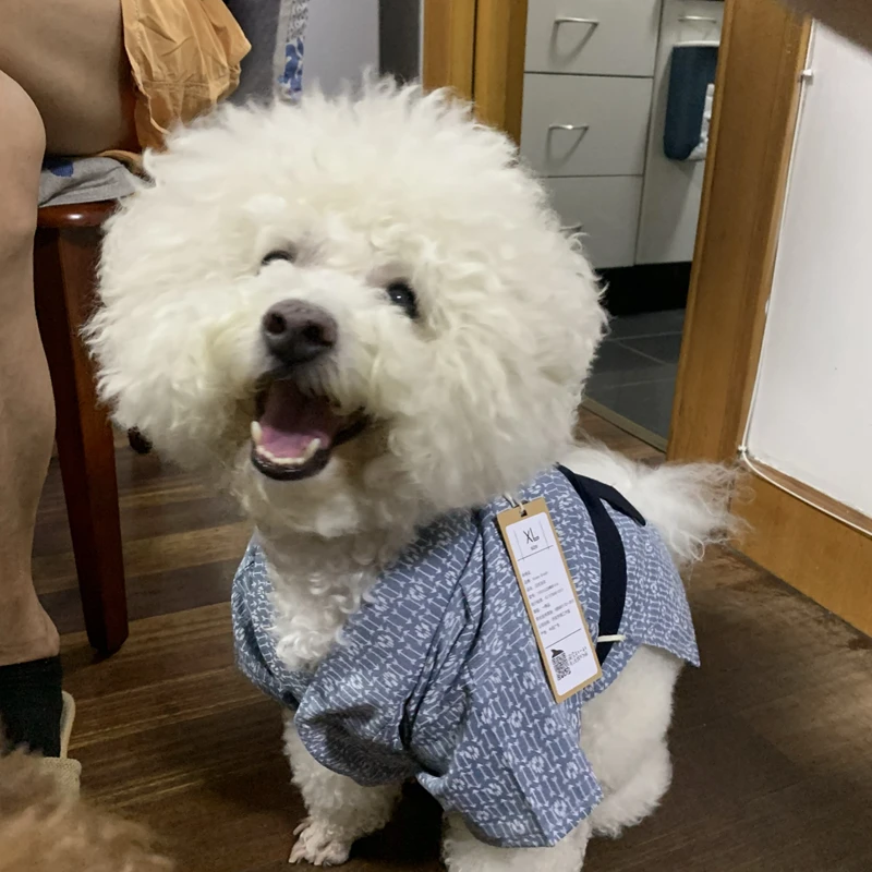 Roupão de algodão japonês para pet, quimono