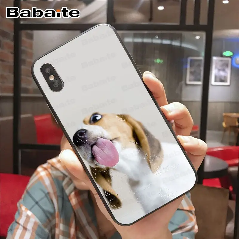 A16 Для iphone 11pro max Beagle Dog силиконовый чехол черный мягкий чехол для телефона для iphone 6S 6plus 7plus 8 8Plus X Xs MAX 5 5S XR - Цвет: A16