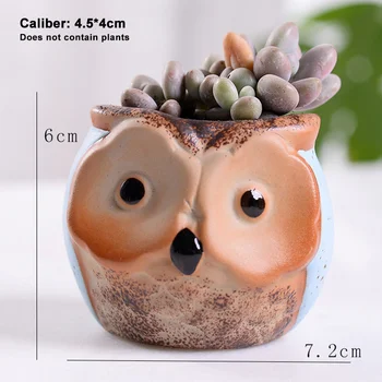 

'The Best' 6PCS Owl Succulent Thumb Flower Pot Macaron Kiln Variable Flow Glaze Retro Ceramic Animal Ornaments 889