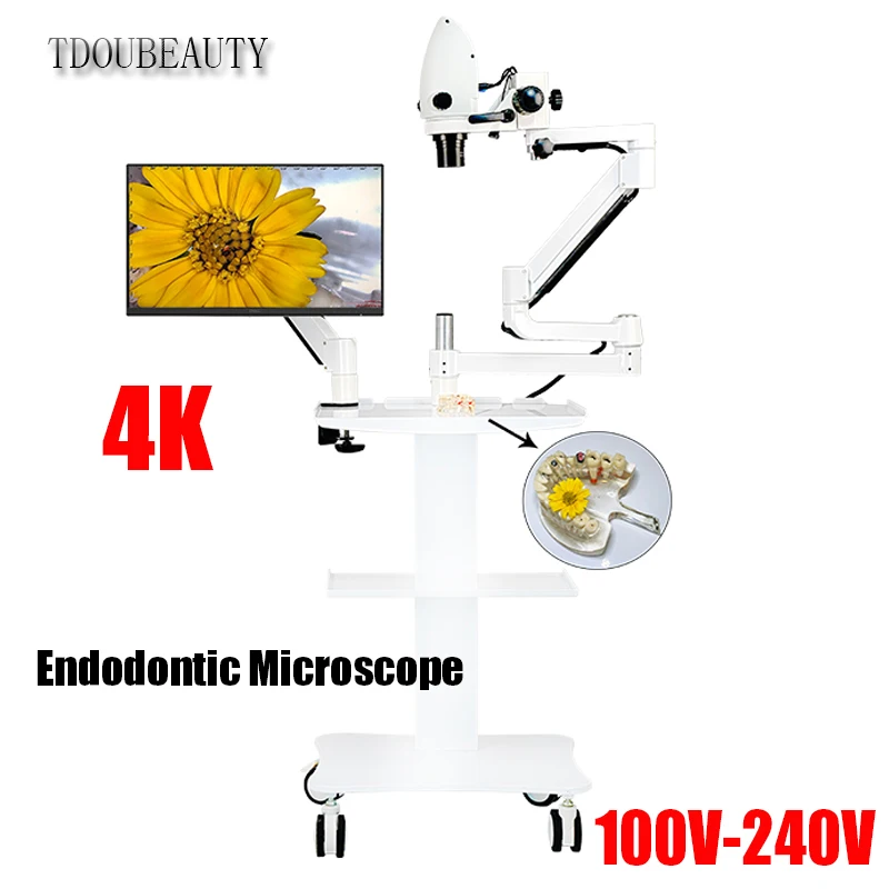 

2023 New 5X-33X Built-in Type Dental Electron Microscope 20 Million Pixels Video Support 4K Root Canal Microscope (100V-240V)