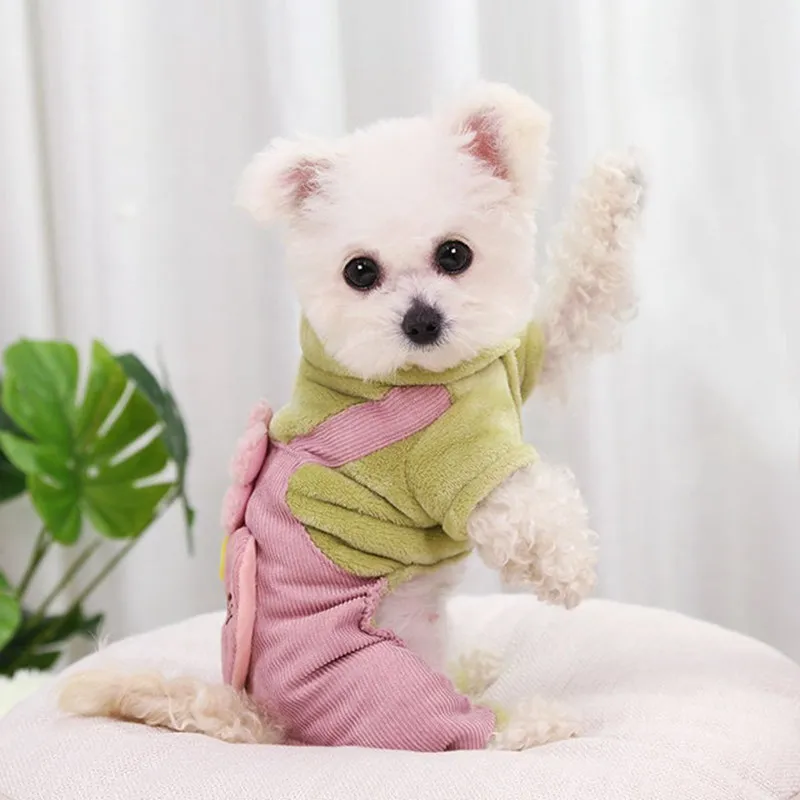 ropa de perros.jpg_.webp