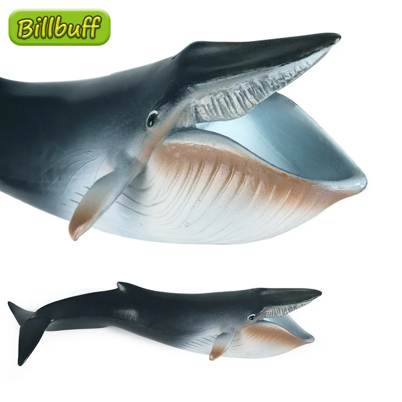 

24cm Simulation Ocean Animal ABS Whale Action Figures Collection Miniature Cognition Educational Toy for Children Christmas Gift