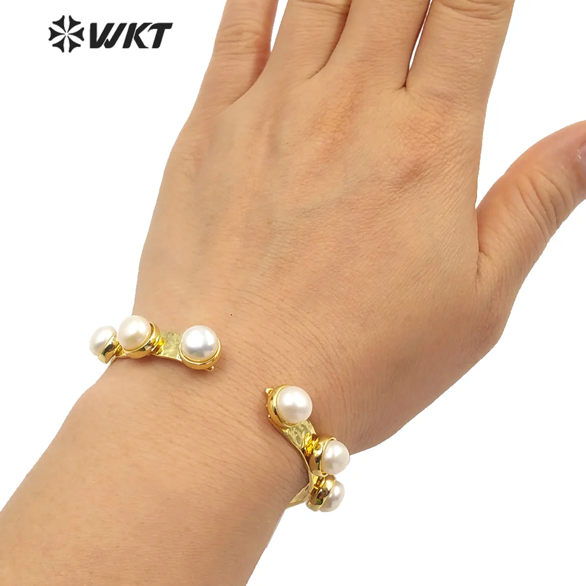 WT-MPB003   Ȳ  ,   ,  ȭ    ,  , ǰ