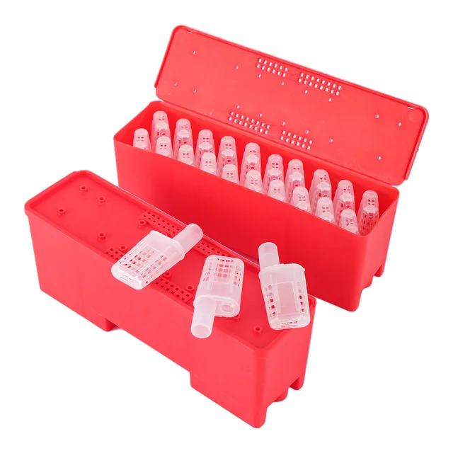 Queen Bee Szállítási Doboz Méhészeti Kellékek Méhek Ketrecekkel Tenyésztő Berendezések Cellás Műanyag Inkubátor - Image 5